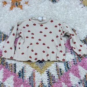 Zara Apple Shirt